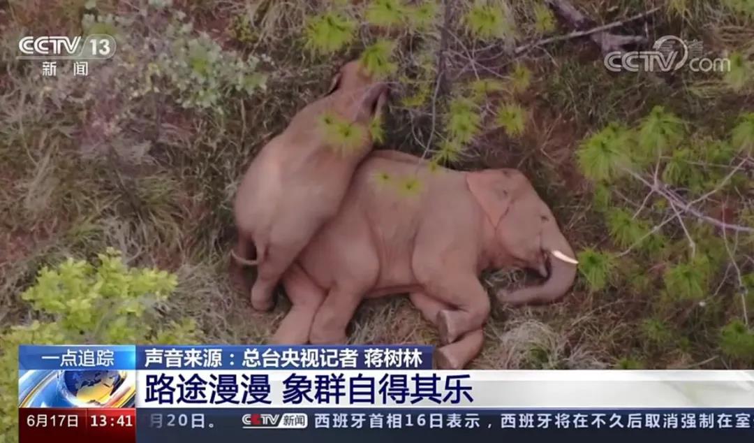 qy千亿-qy千亿(中国)一站式服务官方网站